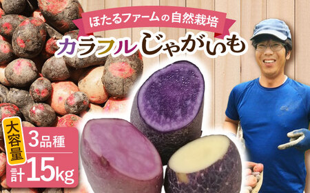 【先行予約】 自然栽培のじゃがいも 3種類 約15kg 【ほたるファーム】 野菜 芋 国産[TEB007]