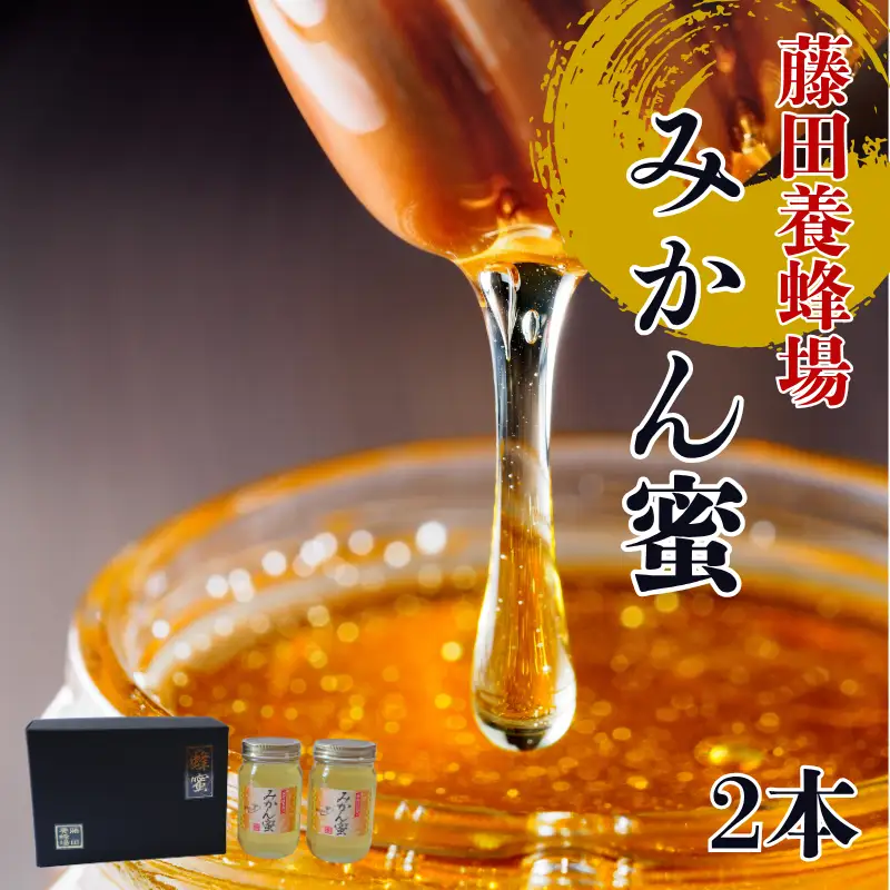 はちみつ みかん蜜 2本 柑橘 みかん 純粋はちみつ 愛媛県産 藤田養蜂場 伊予市｜B250