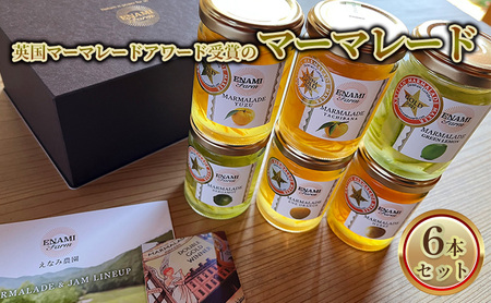 ジャム 英国マーマレードアワード受賞 6本セット ジャム