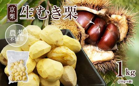 《11月発送》京栗 生むき栗 冷凍 1kg（250g×4袋）