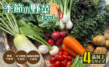 無農薬 季節の野菜セットS（約2kg） / 野菜 詰め合わせ 産地直送 綾部市 / ともときファーム丹波［BSBG008］