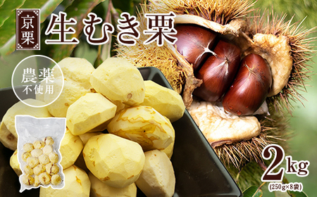 《11月発送》京栗 生むき栗 冷凍 2kg（250g×8袋） 栗 くり