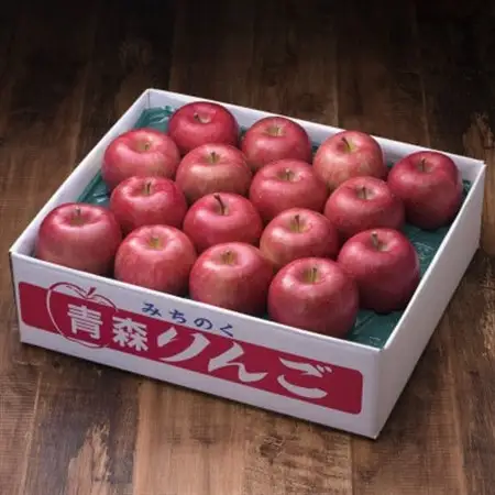 【百年続く青森のりんご農家直送】葉とらずサンふじ　約5kg　贈答用【12月から発送開始】_果物・フルーツ りんご  リンゴ 林檎_【配送不可地域：離島】【1170121】