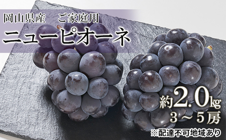 桃 2026年 先行予約 ご家庭用 ニュー ピオーネ 約2.0kg （3～5房） ブドウ 葡萄  岡山県産 国産 フルーツ 果物