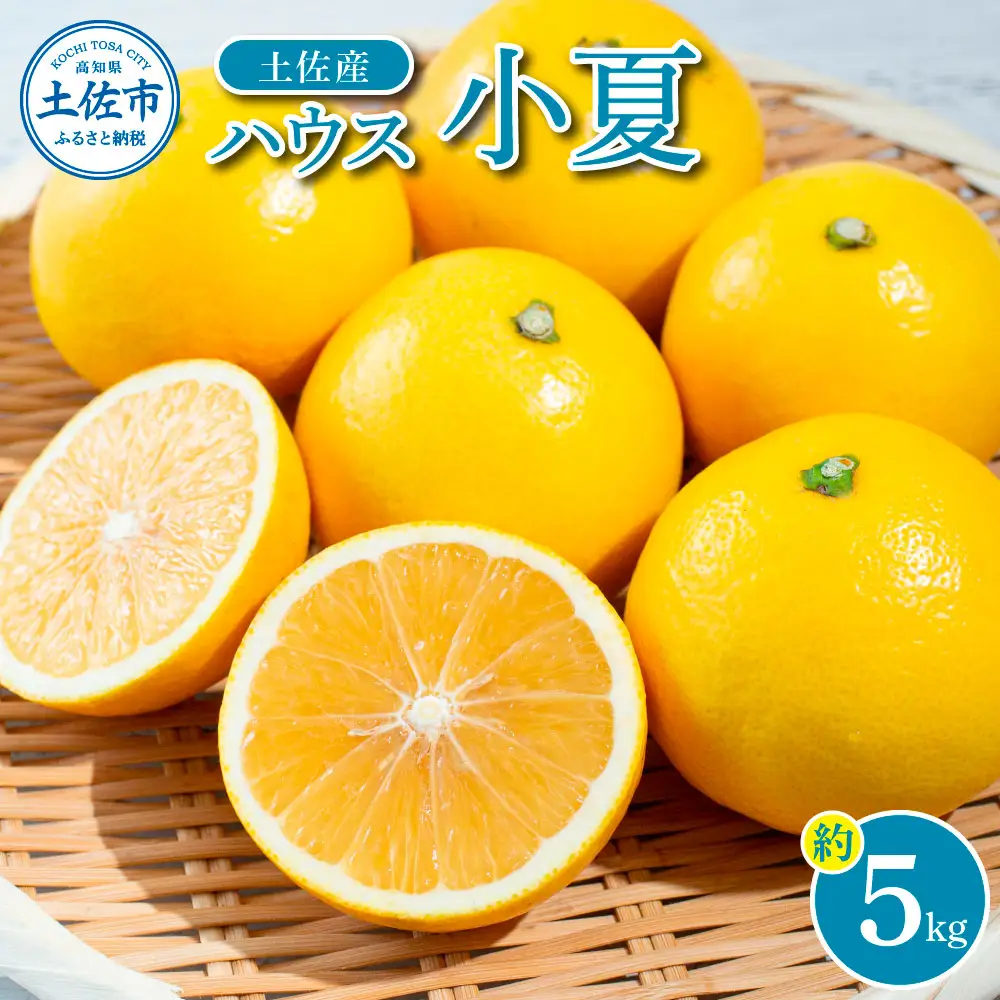 【先行予約】【先行予約】自然の味をそのままに旨味の塊ハウス小夏約5kg〈2027年4月下旬から発送開始〉高知県土佐市 【やの一果彩】 [BQAC037]