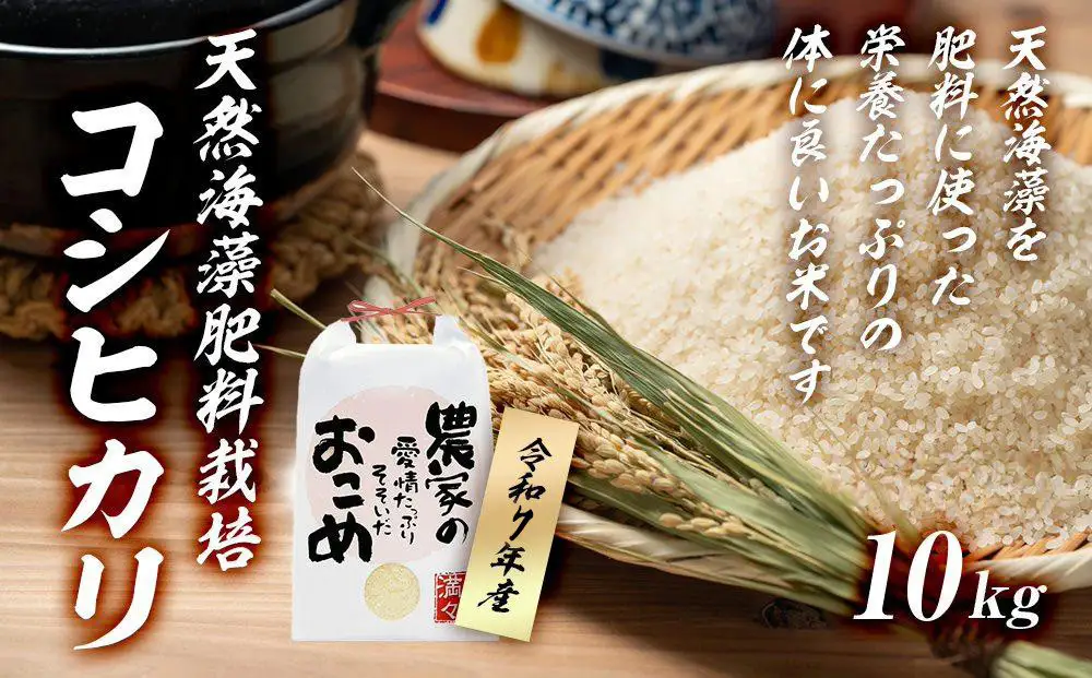 【令和8年産】みどりふぁーむの天然海藻肥料栽培コシヒカリ10kg