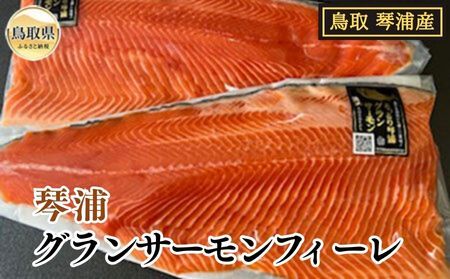 とっとり琴浦グランサーモンフィーレ(総目方約1ｋｇ前後)【数量限定】_T2600143