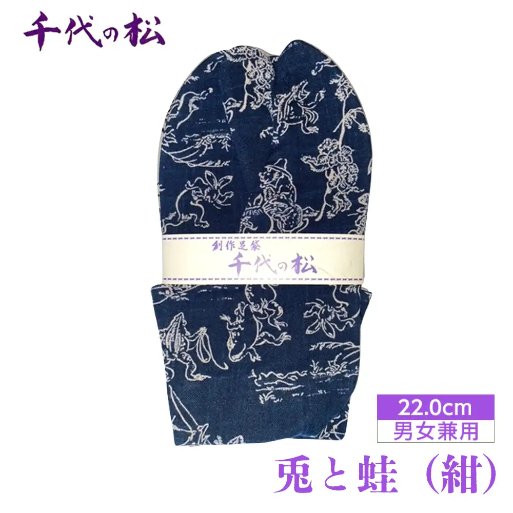 兎と蛙（紺）（男女兼用：22.0cm） No.398-02