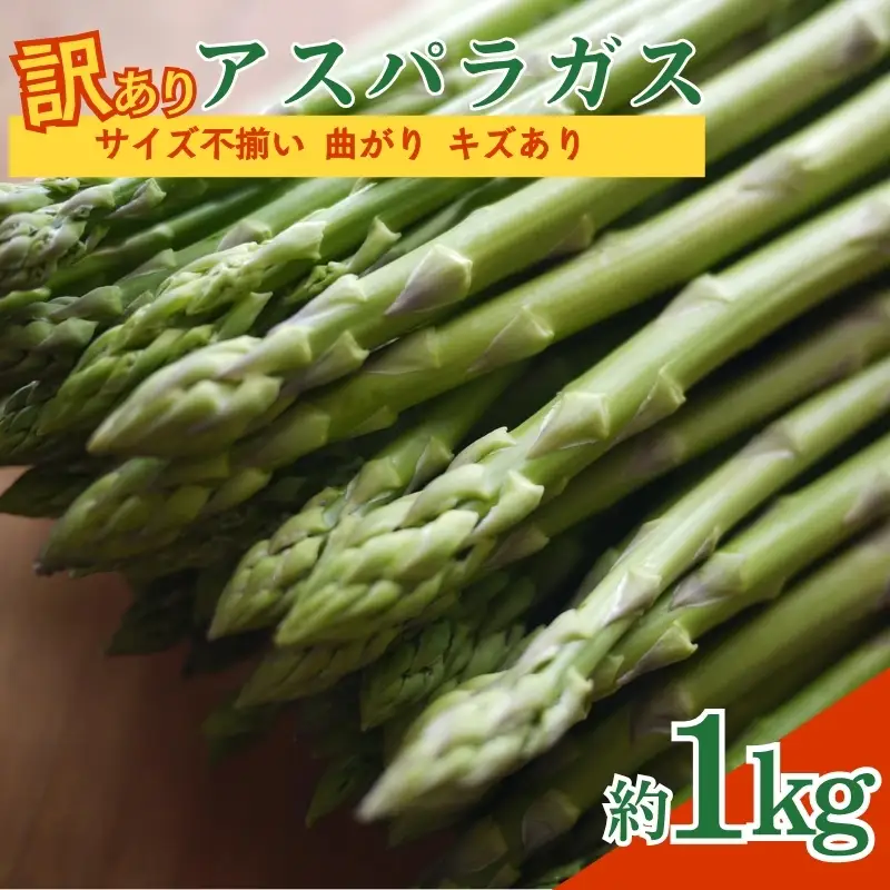 No.2879 【訳あり】アスパラガス 約1kg サイズ不揃い 曲がり キズあり【2026年発送】