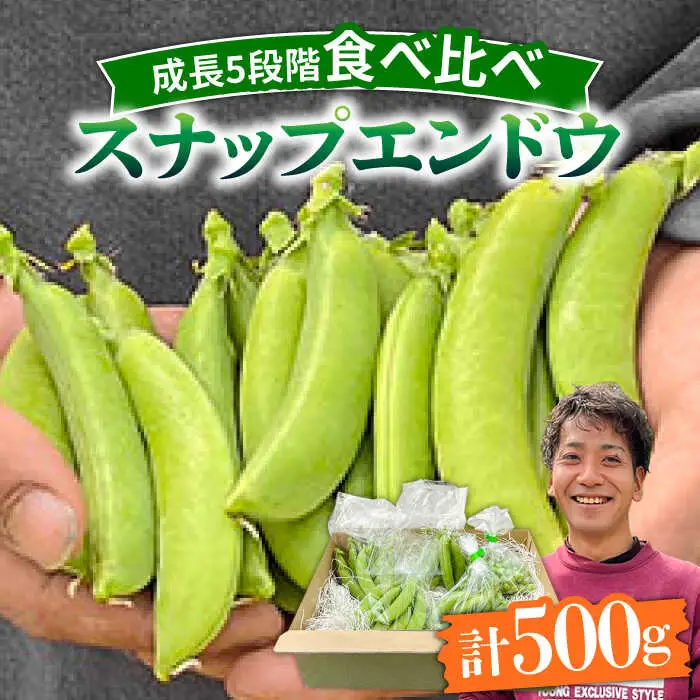 【2027年1月-発送】スナップエンドウ　サイズ違い　食べ比べセット　100g × 5袋 / 小分け / 南島原市 [SFL001]