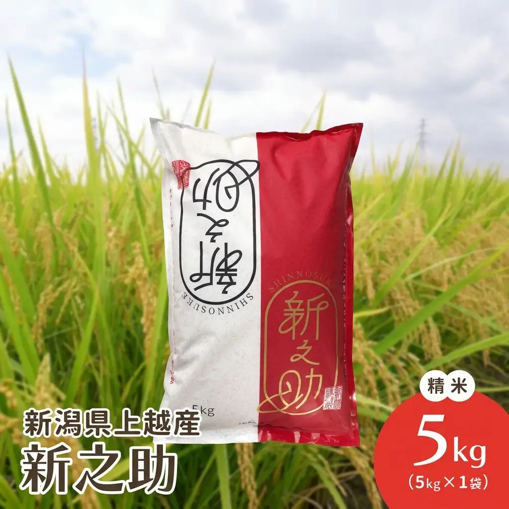 令和8年・新潟県上越産|新潟ブランド米「新之助」 精米5kg