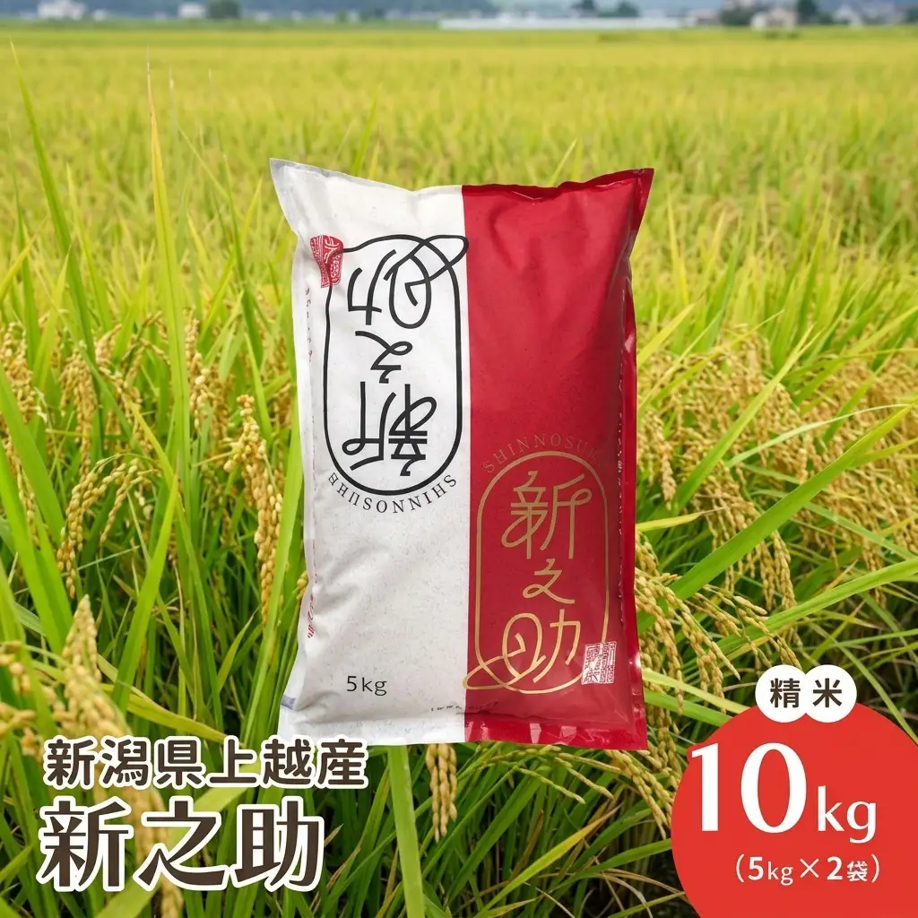 新之助 ブランド米 精米 10kg 上越産 新之助