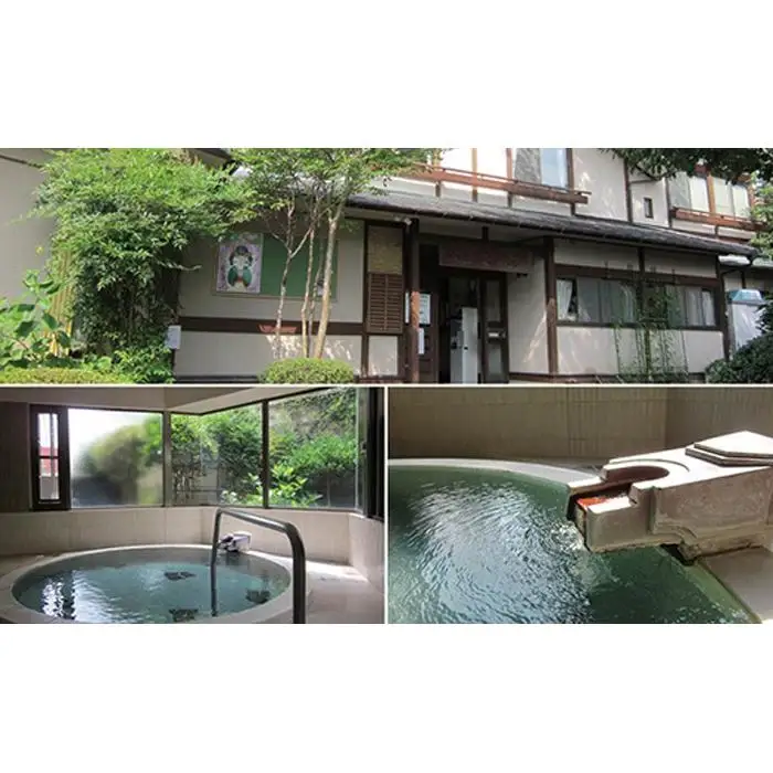 【箱根大平台温泉　姫之湯】日帰り入浴優待券大人１名（入浴のみ）　記念タオル付［利用券利用券］