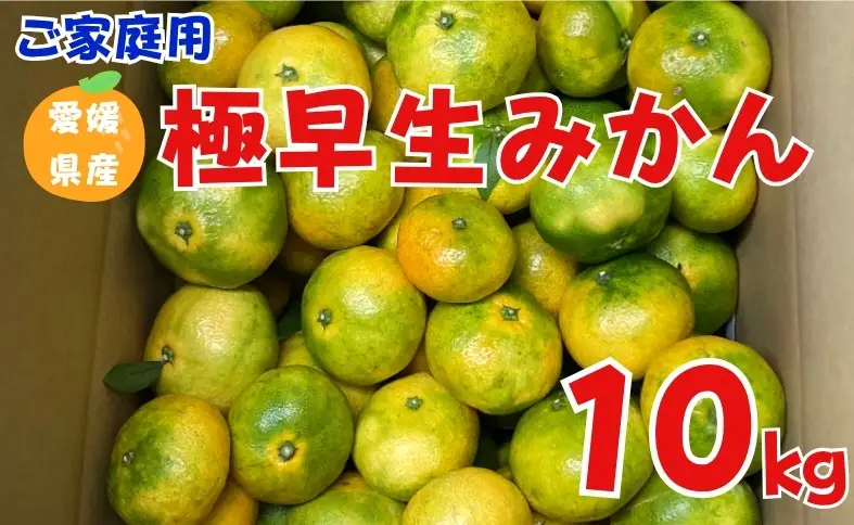【2026年先行予約】 極早生みかん 10kg ご家庭用 農園直送 【10月上旬から順次発送予定】 愛媛 数量限定 愛媛県産 人気 柑橘 伊予市｜B254