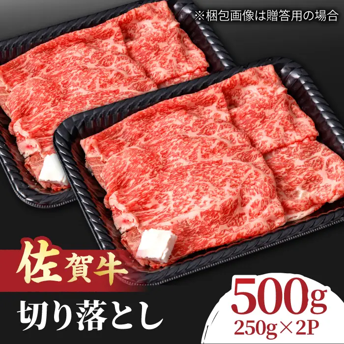 佐賀牛 赤身とバラ肉の切り落とし 250g×2 黒毛和牛切り落とし 切り落とし[FCY013]