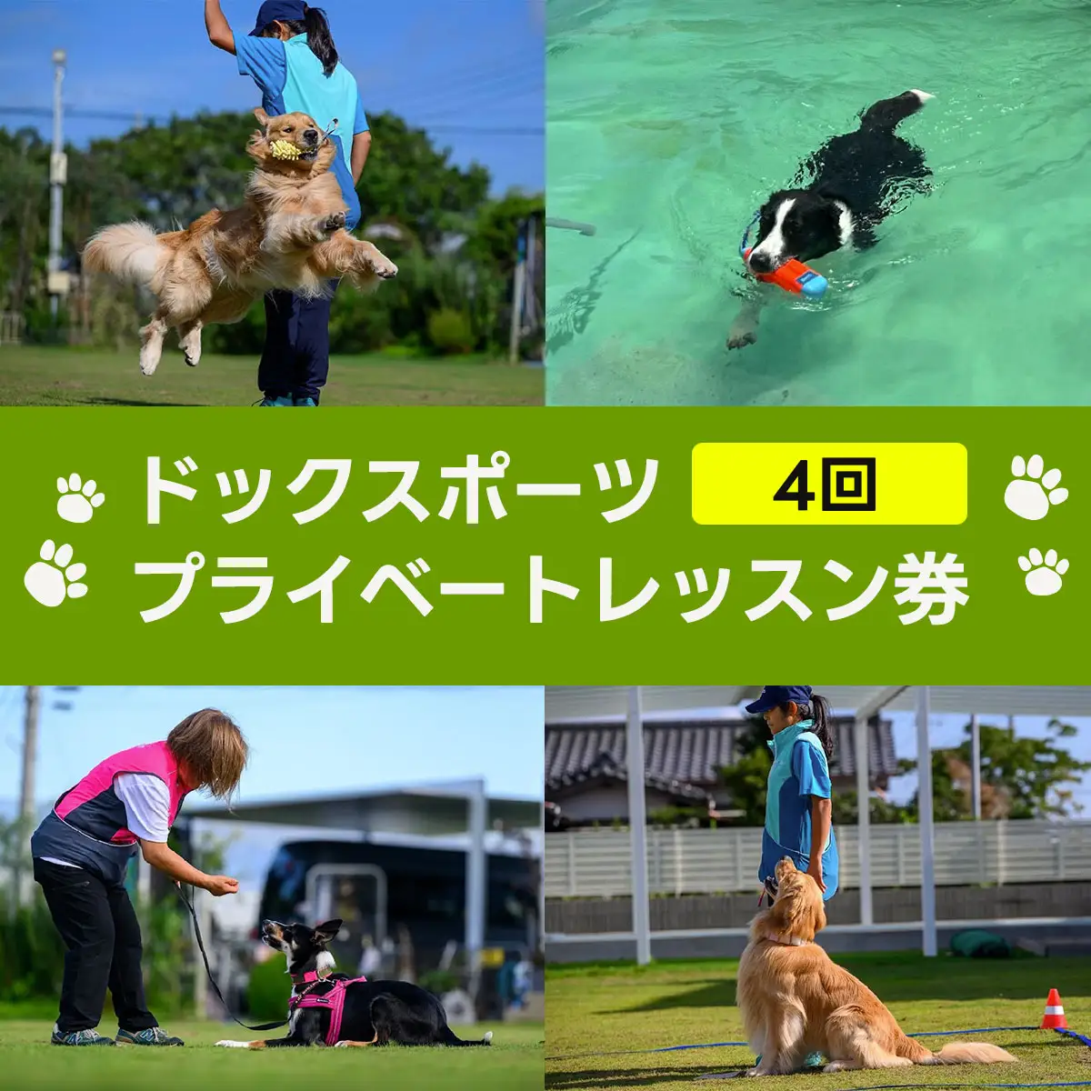 ドックスポーツ プライベートレッスン券（４回/１時間×４回） ふるさと納税 ドッグスポーツ 利用券 チケット 犬 イヌ 千葉県 白子町 送料無料 SHAI002