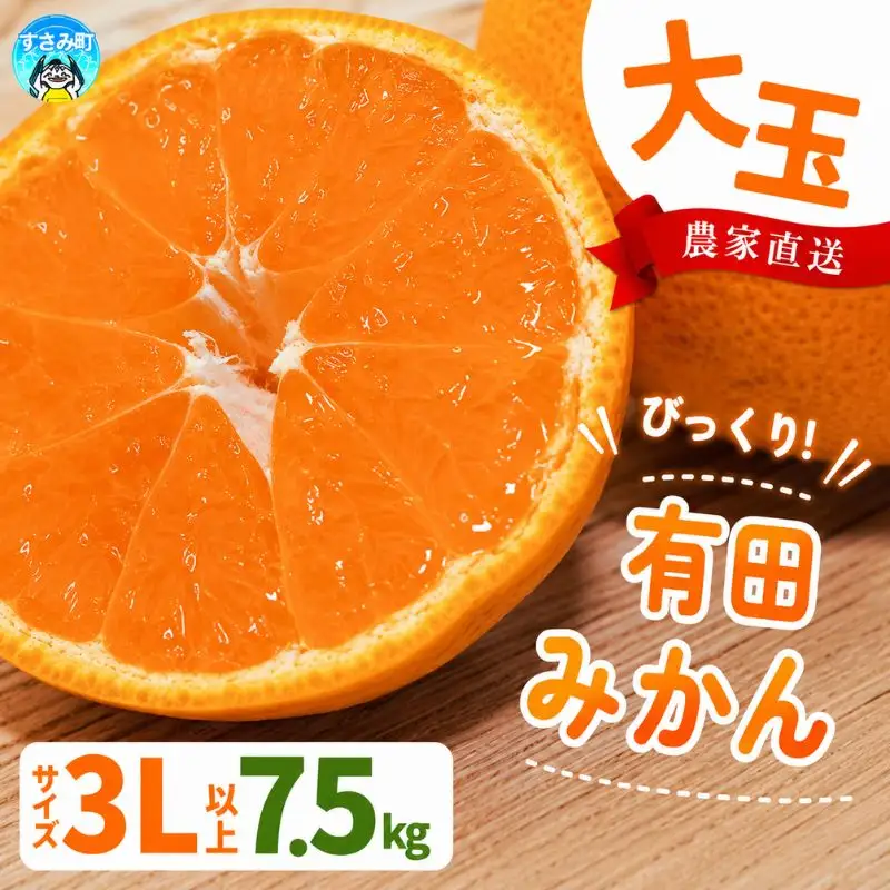 【農家直送】有田みかん  大玉3L以上 約7.5kg 有機質肥料100% ※2026年11月～12月に順次発送予定(お届け日指定不可)【nuk158D】