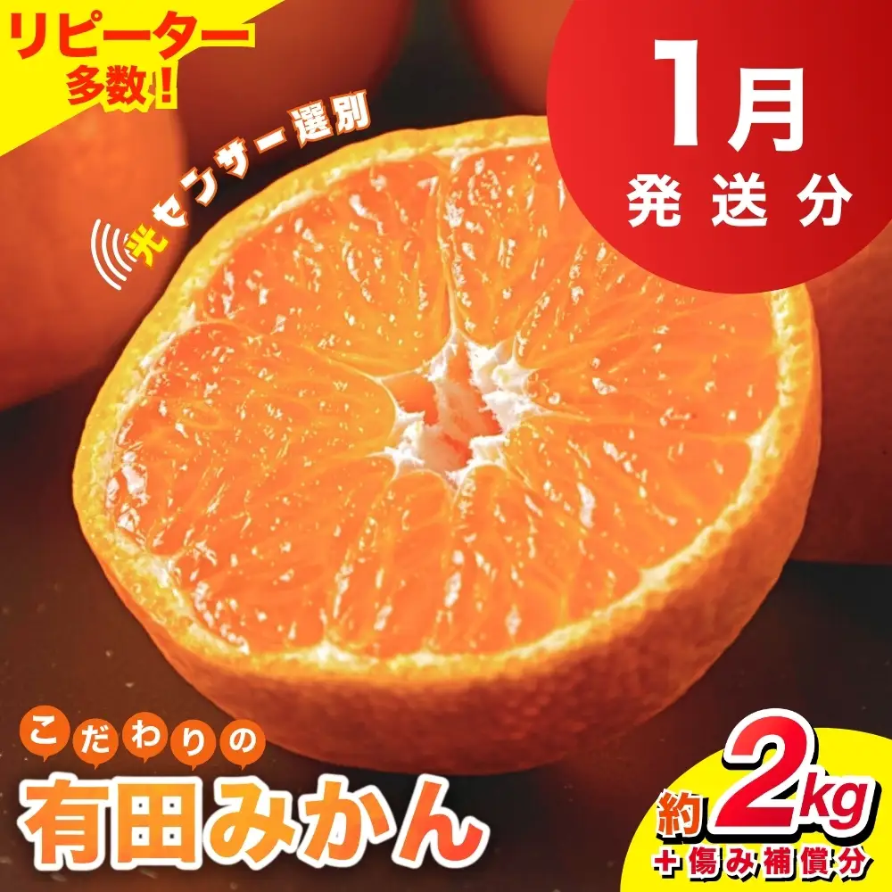 【2027年1月発送】【家庭用】こだわりの有田みかん 約2kg   ※北海道・沖縄・離島配送不可 有田みかん 温州みかん 柑橘【nuk159-01】