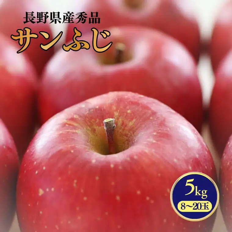 MS15 りんご サンふじ（長野県産秀品） 約5kg / 2026年11月下旬～12月中旬頃 配送予定//長野県 南信州 さんふじ サンフジ ふじりんご リンゴ 林檎 贈答 ふじ