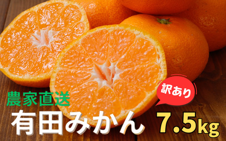 【訳あり】農家直送 有田みかん 約7.5kg ご家庭用 サイズ混合 ※2026年11月中旬から2027年1月中旬までに順次発送予定（お届け日指定不可）※北海道・沖縄・離島への配送不可　訳ありみかん 温州みかんイズ混合 訳ありみかん 温州みかん 有機質肥料100% ふるさと納税 柑橘 有田 産地直送【nuk157F】