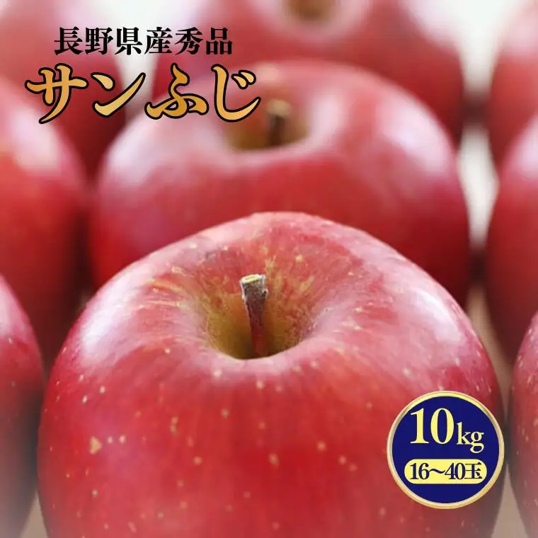 MS16 りんご サンふじ（長野県産秀品） 約10kg / 2026年11月下旬～12月中旬頃 配送予定//長野県 南信州 さんふじ サンフジ ふじりんご リンゴ 林檎 贈答 ふじ