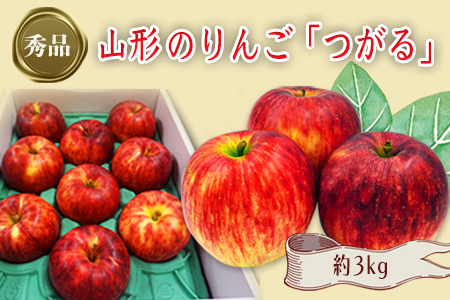 【2026年発送】「秀品」山形のりんご（つがる）約3kg_H163(R8)