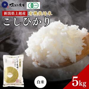 令和7年産 新潟県上越産 有機栽培米 コシヒカリ 5kg 5キロ 精米 JAS有機栽培 こしひかり おおた農場 上越市