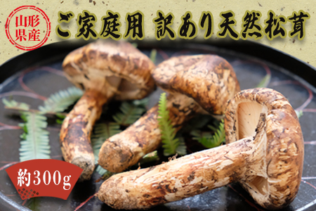 【2026年発送】山形県産ご家庭用訳あり天然松茸（まつたけ）約300g_H198(R8)