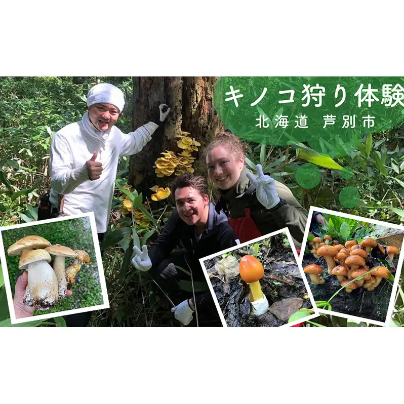 体験 北海道 季節のキノコ狩り 体験チケット 1枚 (1名様分) ioru