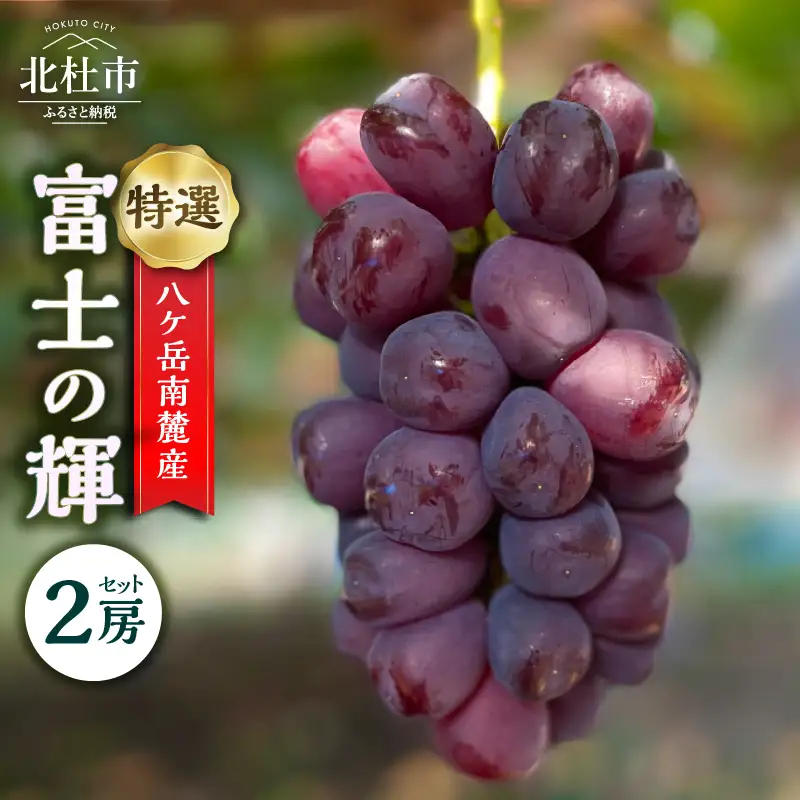 【2026年先行予約】八ケ岳南麓産「特選 富士の輝」 [h262]