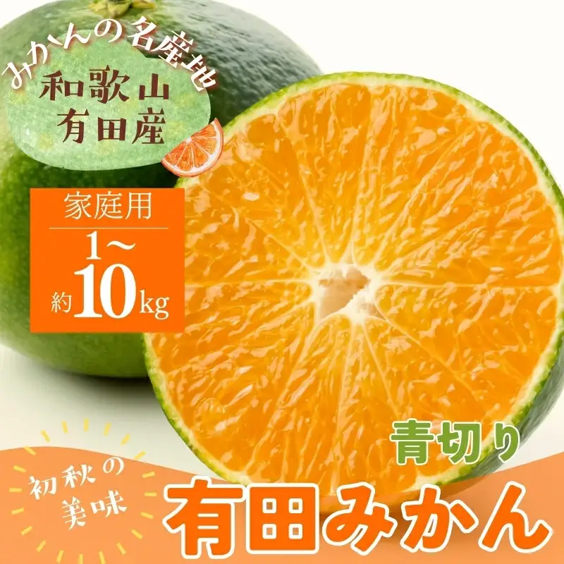 ＜9月中旬～＞【先行予約】ご家庭用青切り有田みかん　約3kg+200g(傷み補償分) ※着日指定不可 ※北海道・沖縄・離島は配送不可 ※2026年9月中旬～10月上旬頃に順次発送予定　【ard145B】