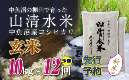 【令和8年産 先行予約】【定期便／全12回】玄米10kg 新潟県魚沼産コシヒカリ「山清水米」