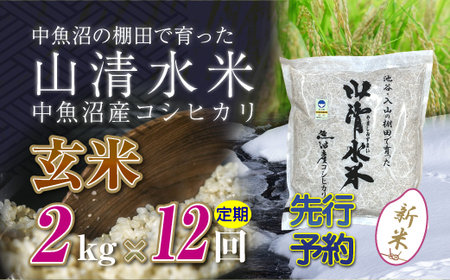 【令和8年産 先行予約】【定期便／全12回】玄米2kg 新潟県魚沼産コシヒカリ「山清水米」