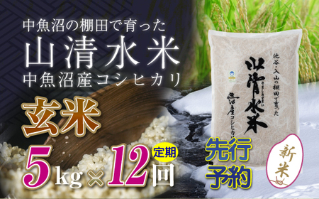 【令和8年産 先行予約】【定期便／全12回】玄米5kg 新潟県魚沼産コシヒカリ「山清水米」