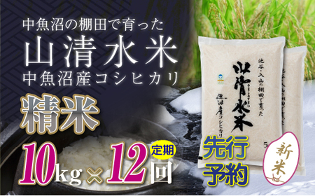 【令和8年産 先行予約】【定期便／全12回】精米10kg 新潟県魚沼産コシヒカリ「山清水米」