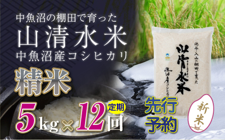 【令和8年産 先行予約】【定期便／全12回】精米5kg 新潟県魚沼産コシヒカリ「山清水米」