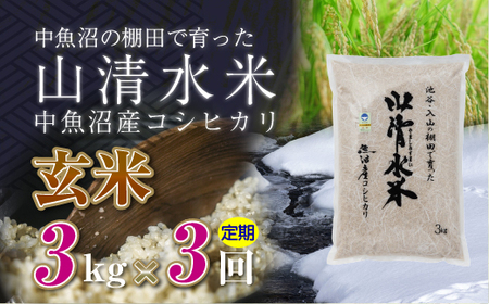 【定期便／全3回】玄米3kg 新潟県魚沼産コシヒカリ「山清水米」 