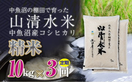 【定期便／全3回】精米10kg 新潟県魚沼産コシヒカリ「山清水米」 