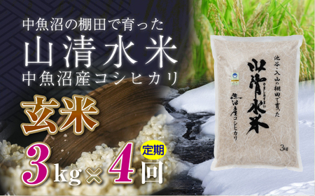 【定期便／全4回】玄米3kg 新潟県魚沼産コシヒカリ「山清水米」 