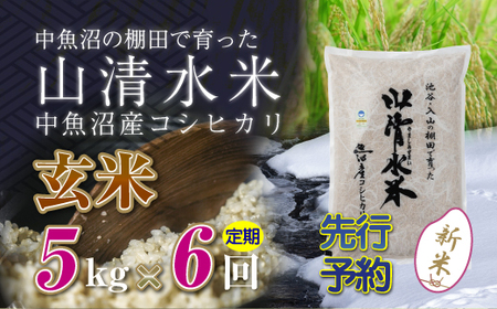 【令和8年産 先行予約】【定期便／全6回】玄米5kg 新潟県魚沼産コシヒカリ「山清水米」