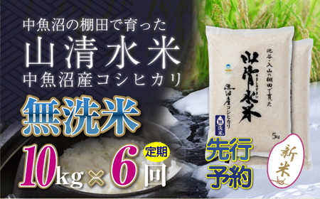 【令和8年産 先行予約】【定期便／全6回】無洗米10kg 新潟県魚沼産コシヒカリ「山清水米」
