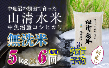 【令和8年産 先行予約】【定期便／全6回】無洗米5kg 新潟県魚沼産コシヒカリ「山清水米」