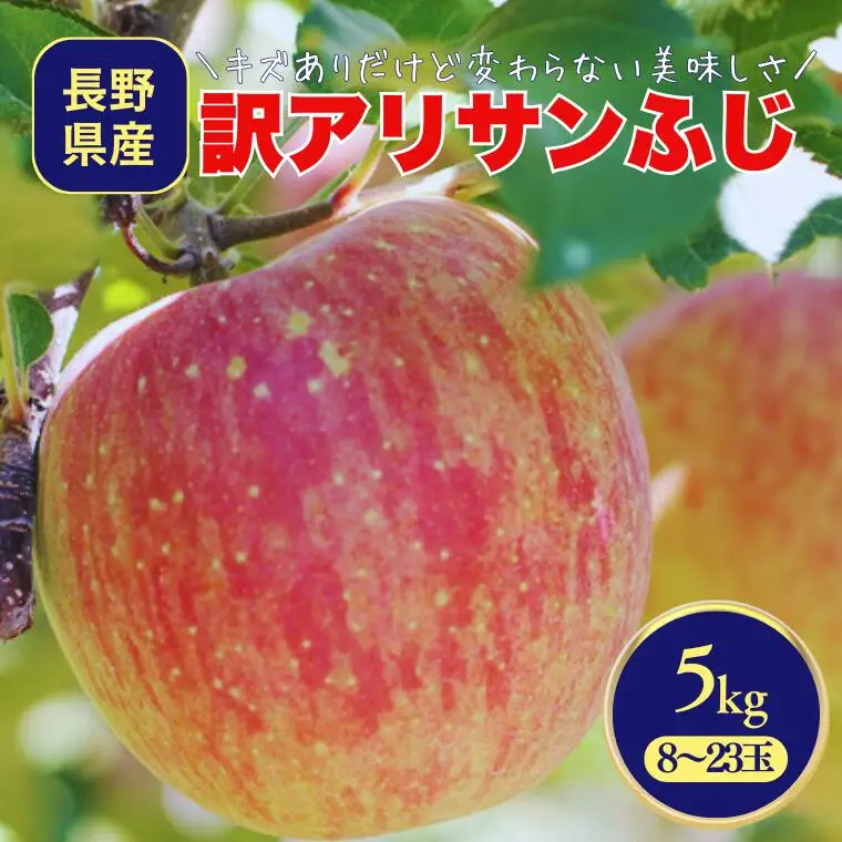 MS17 りんご サンふじ（長野県産訳あり品） 約5kg / 2027年1月上旬～2月上旬頃 配送予定 // 長野県 南信州 さんふじ サンフジ ふじりんご 訳あり 訳アリ 家庭用 自宅用 リンゴ 林檎 ふじ
