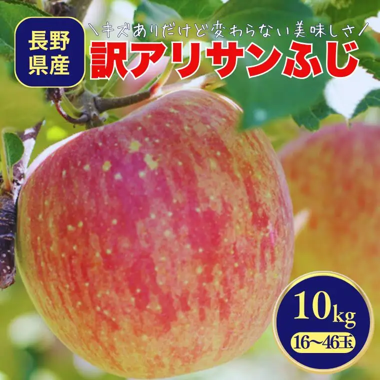 MS18 りんご サンふじ（長野県産訳あり品） 約10kg / 2027年1月上旬～2月上旬頃 配送予定 // 長野県 南信州 さんふじ サンフジ ふじりんご 訳あり 訳アリ 家庭用 自宅用 リンゴ 林檎 ふじ