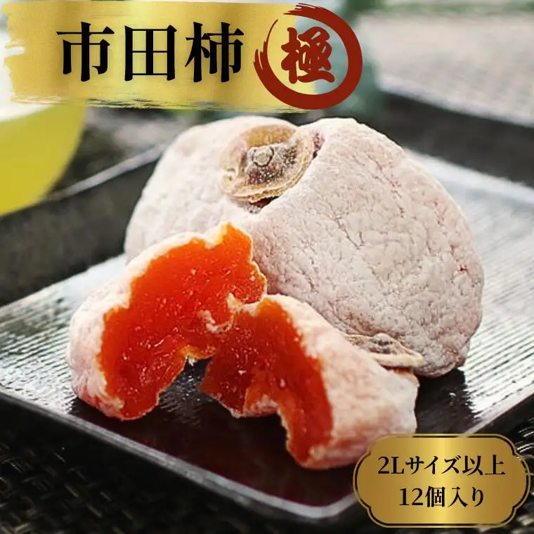 MS20 市田柿「極」2Lサイズ以上【12個入】 / 2027年1月上旬～2月下旬頃 配送予定 // 長野県 南信州 干し柿 大粒 2Lサイズ 贈答 高糖度 ドライフルーツ ギフト