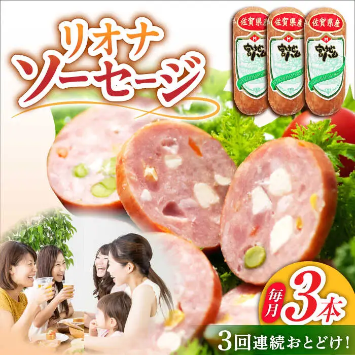 【3回定期便】リオナソーセージ 200g×3本 /宮地ハム [UBM030] ソーセージ