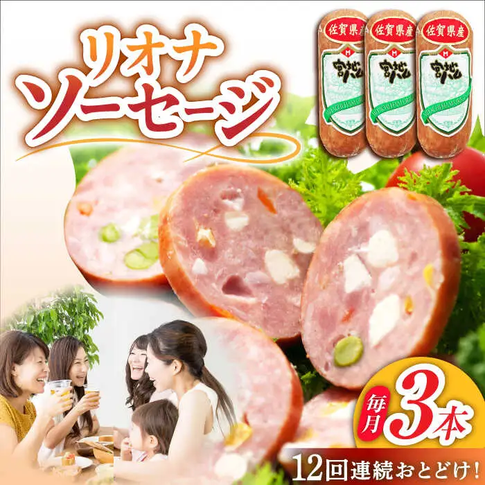 【12回定期便】リオナソーセージ 200g×3本 /宮地ハム [UBM032] ソーセージ