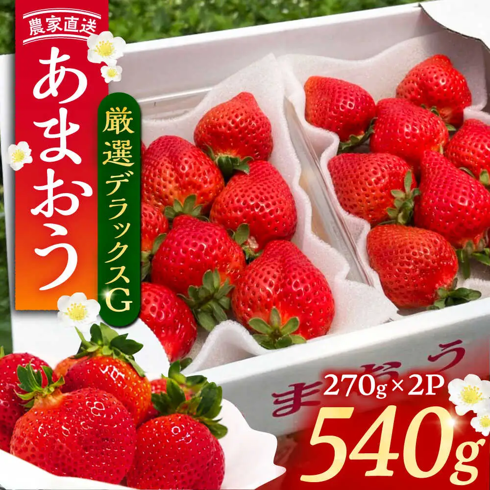 【先行予約】【2月-4月発送】農家直送 あまおう 厳選デラックスG 540g(270g以上×2P) 土耕栽培[VAB015]
