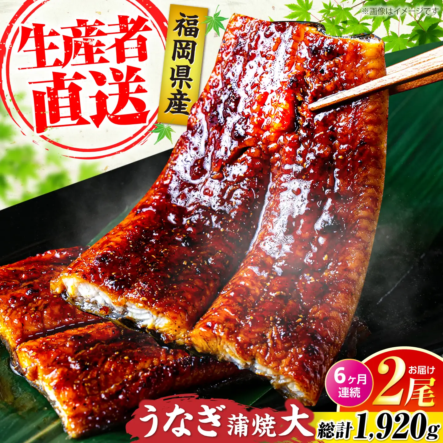 【全6回定期便】福岡県産 うなぎ 蒲焼 大2尾 計320g VAD012 うなぎ