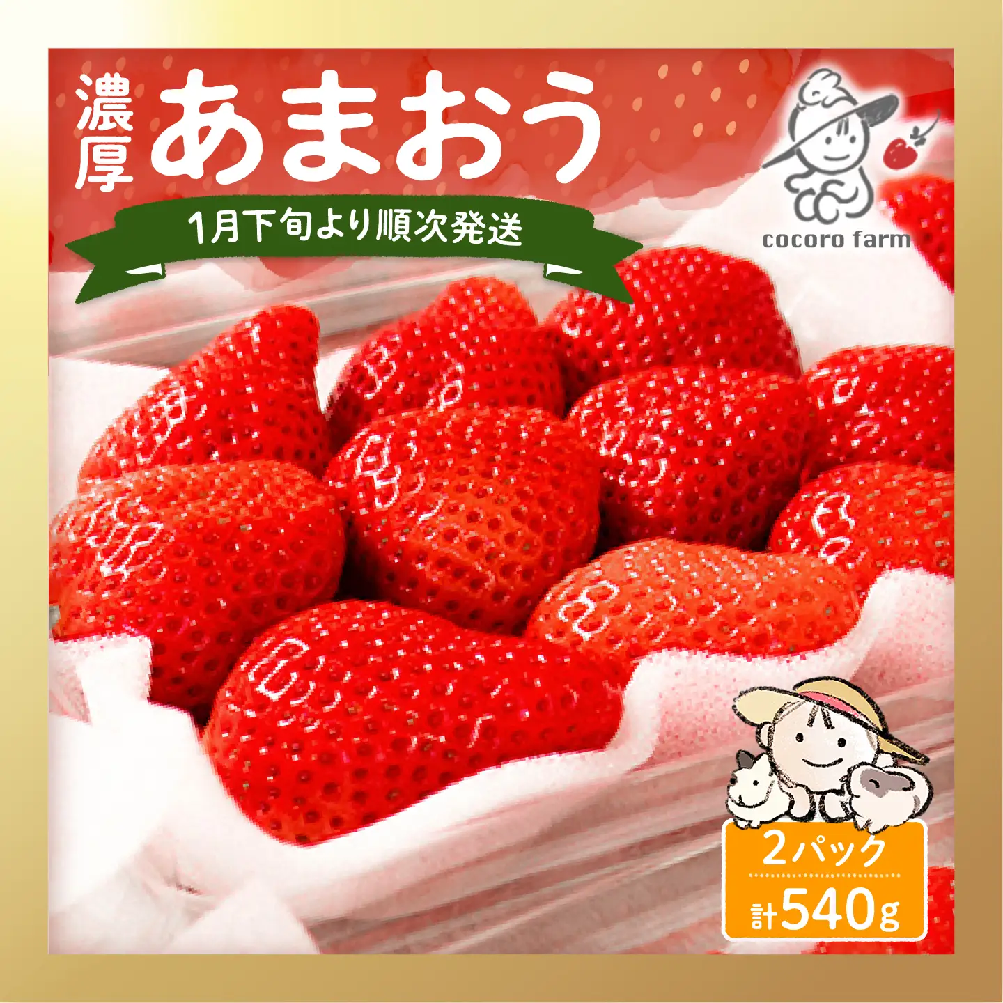 【先行予約】ココロファームの濃厚あまおう 270g×2P VAE007 いちご あまおう
